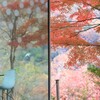 富弘美術館の秋