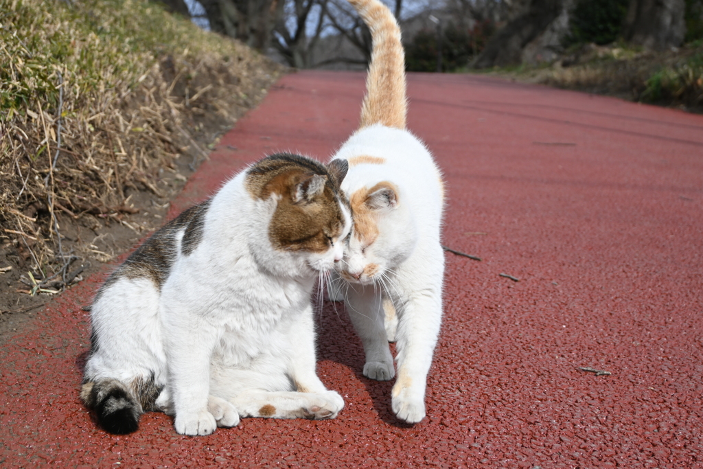 あなたは特別な存在♡