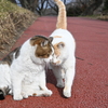 あなたは特別な存在♡