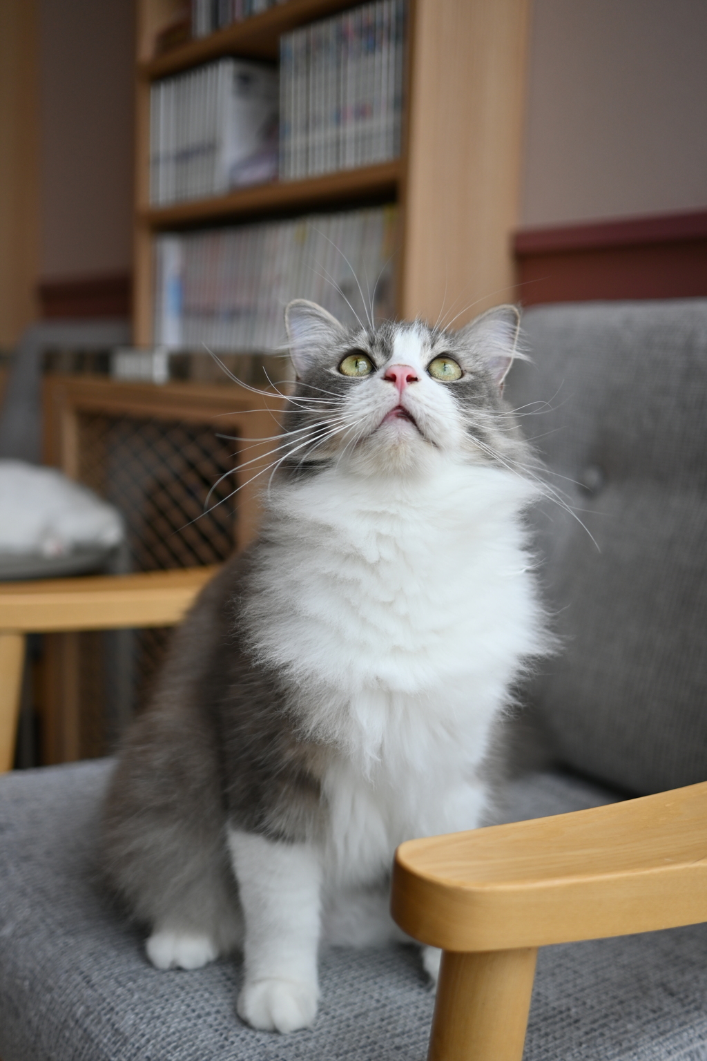 目が真剣