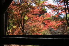 森は秋色へ