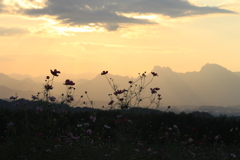 夕暮れ時