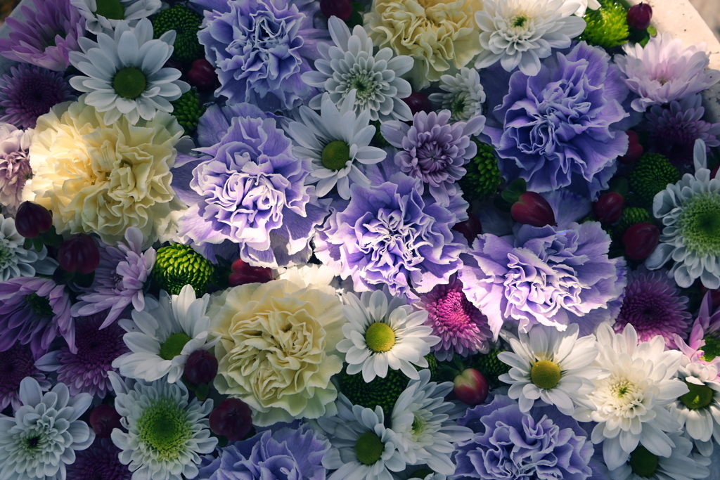 9月の花々　2