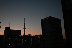 朝の色