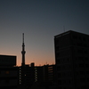 朝の色