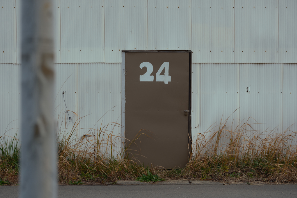 24