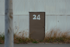 24