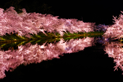 桜も人も満開の夜