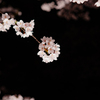花手毬
