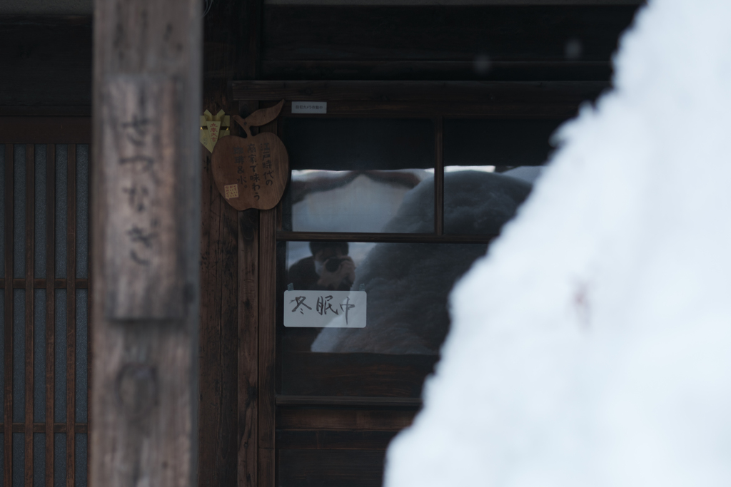 冬眠打破