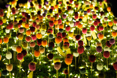 毛糸の花