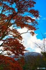 秋晴れ