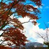 秋晴れ