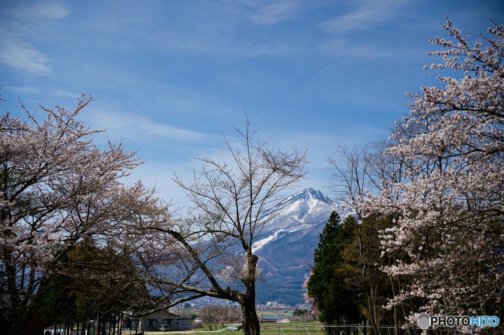 ふるさとの春
