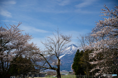 ふるさとの春