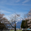 ふるさとの春