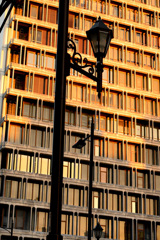 秋の夕陽が差し込む街角