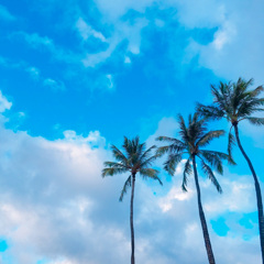 2017 ハワイの空
