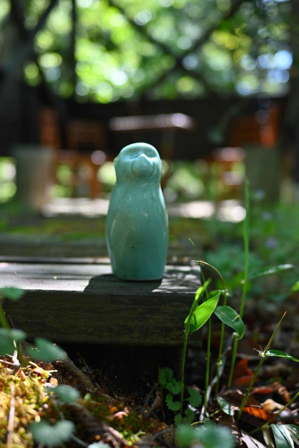 山の小さな守り神