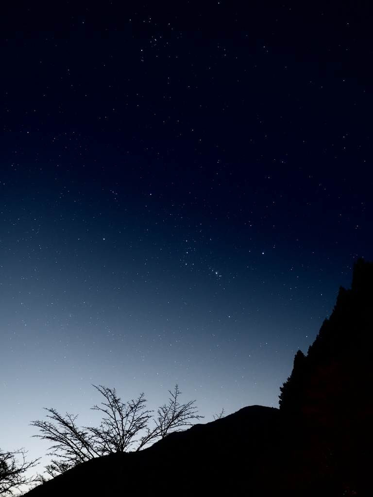 奥多摩で観る星空は