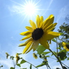 夏！！！