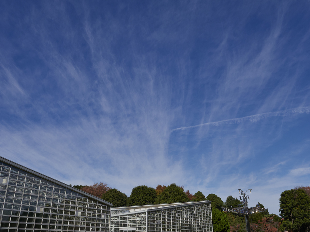 空の高さに魅せられて