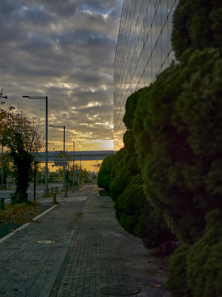 夕暮れ散歩 in the city