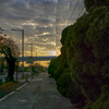 夕暮れ散歩 in the city