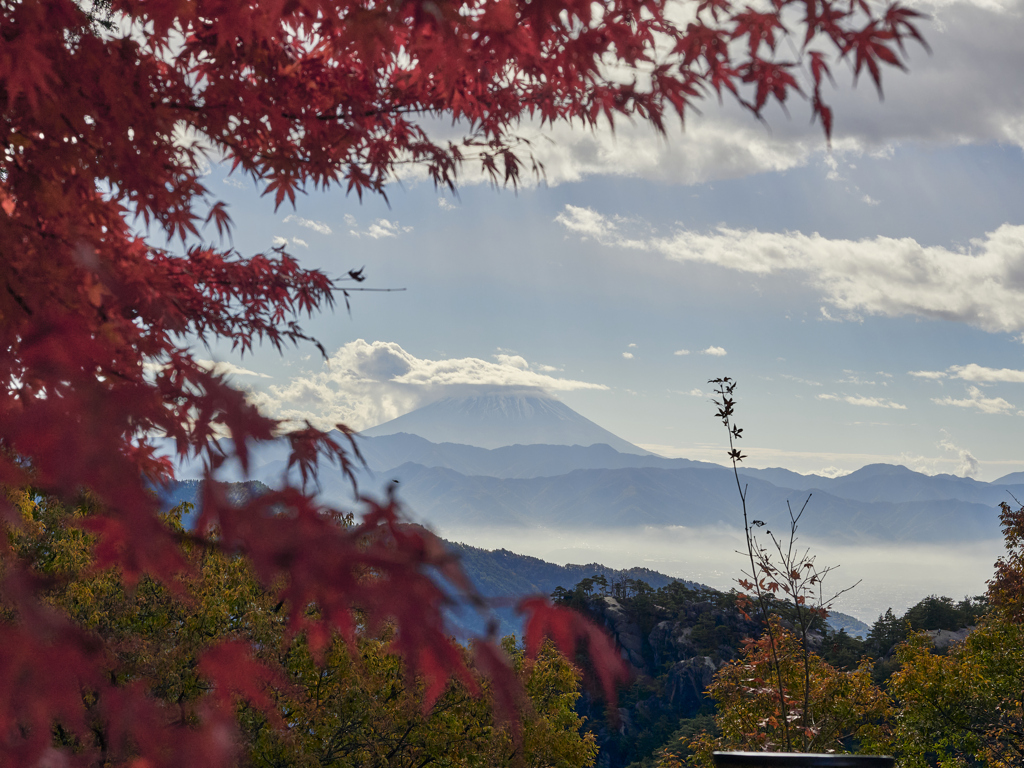 秋晴れの雲海と富士を望む