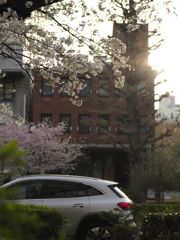 朝日と春を求めて