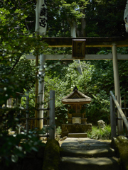 夏の思い出