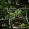 夏の思い出
