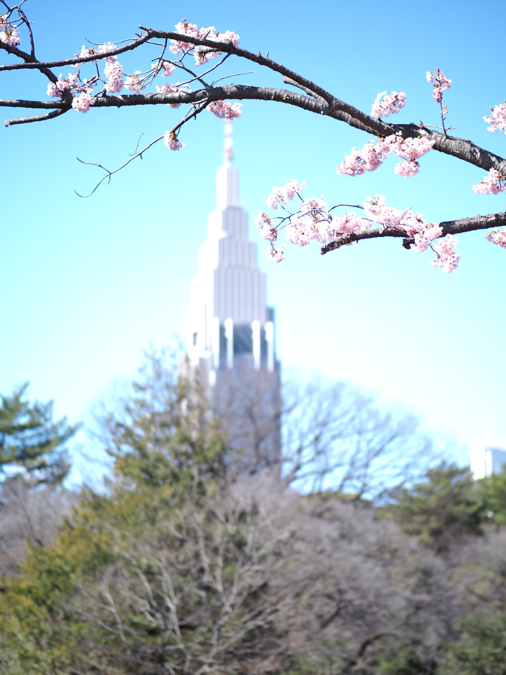 小春日和の