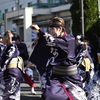 躍動