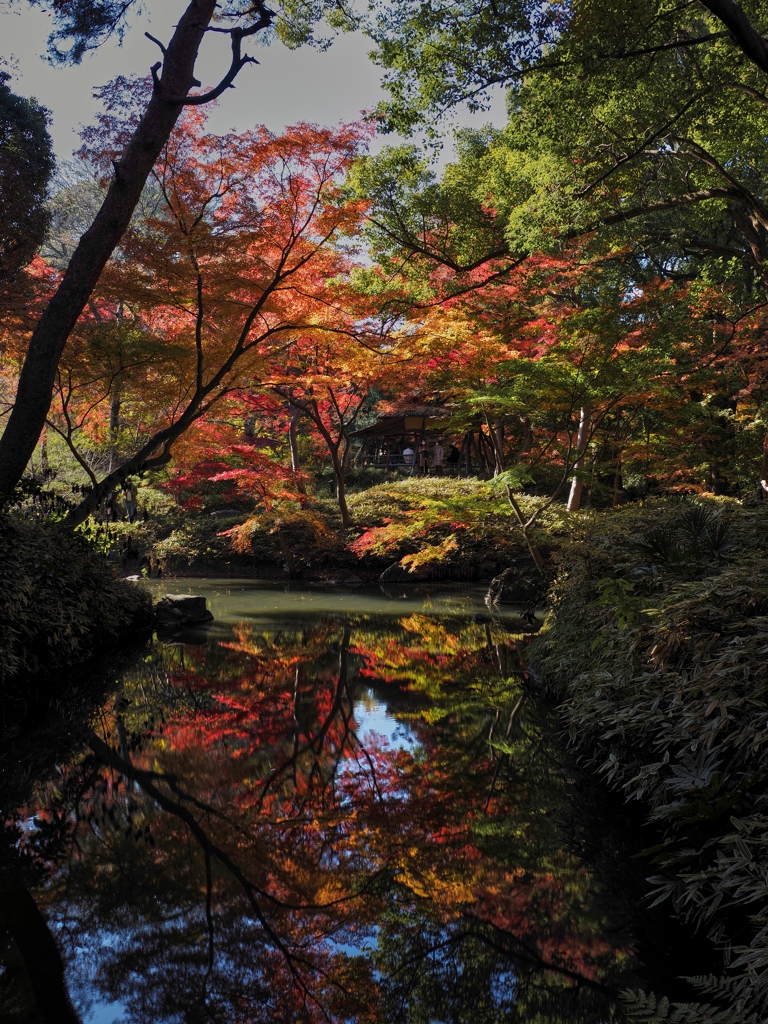 紅葉と水鏡