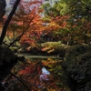 紅葉と水鏡