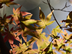 影とグラデーション