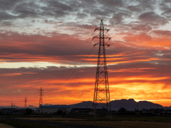 朝陽に染まる①