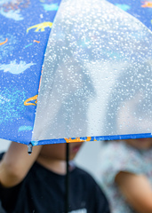 久しぶりの雨