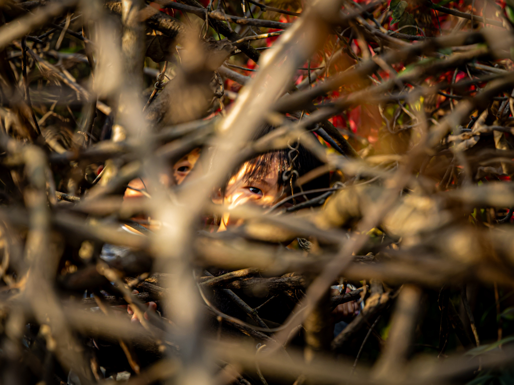 秘密基地の住人