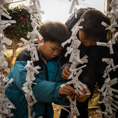 おみくじ初体験