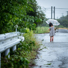 雨の日の散歩