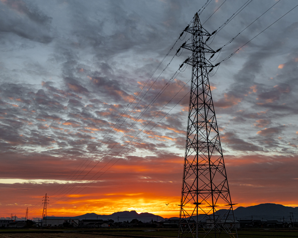 朝陽に染まる②