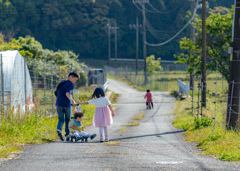 朝の散歩