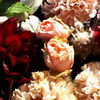 Lots of flowers