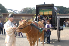 牛車に乗ろう