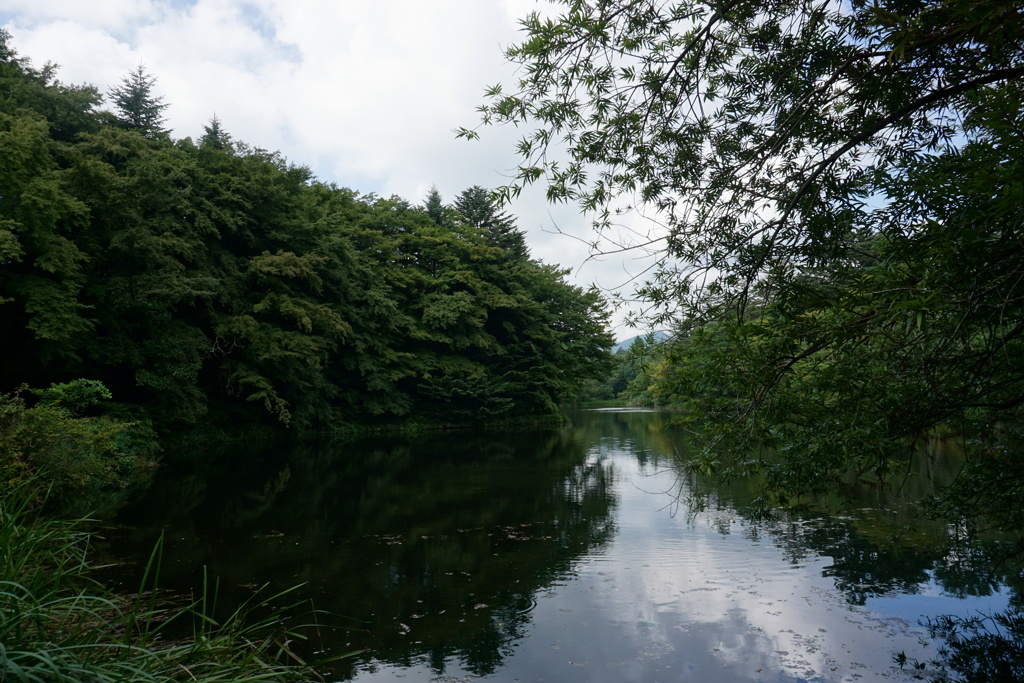 雲場池