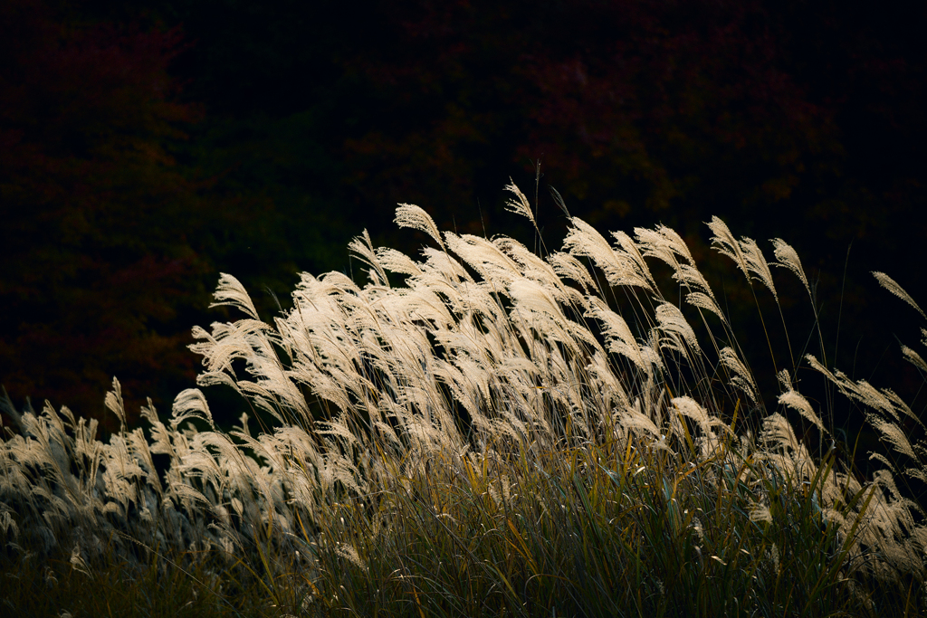 刹那の輝き・参