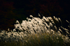 刹那の輝き・参