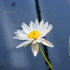 DSC01015